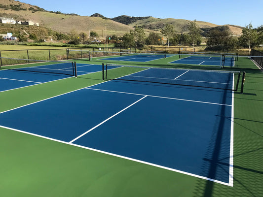20 pickleball facts